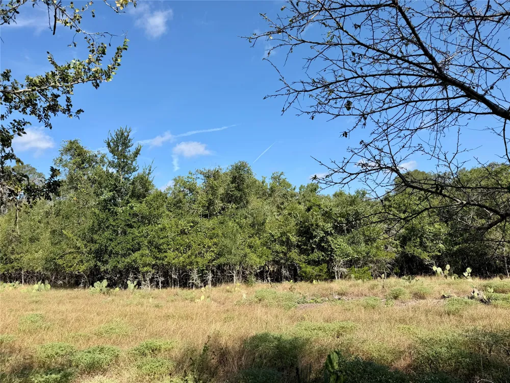 208 Waipahoehoe Drive Bastrop, TX 78602