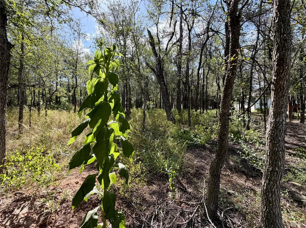 208 Waipahoehoe Drive Bastrop, TX 78602