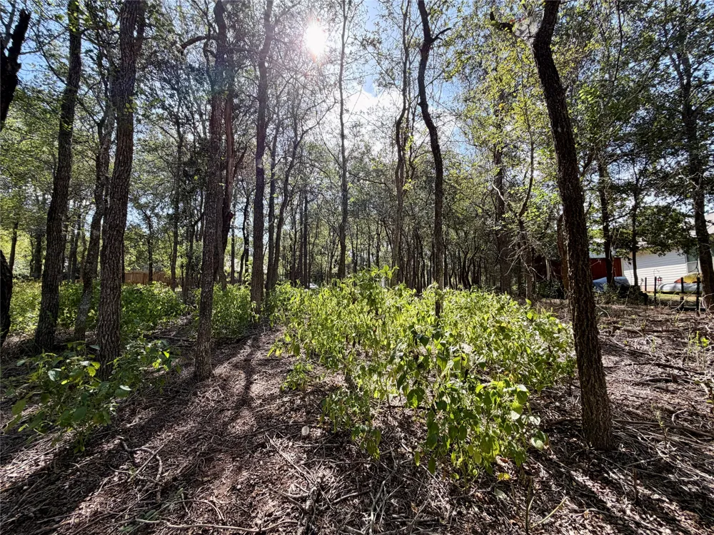 208 Waipahoehoe Drive Bastrop, TX 78602