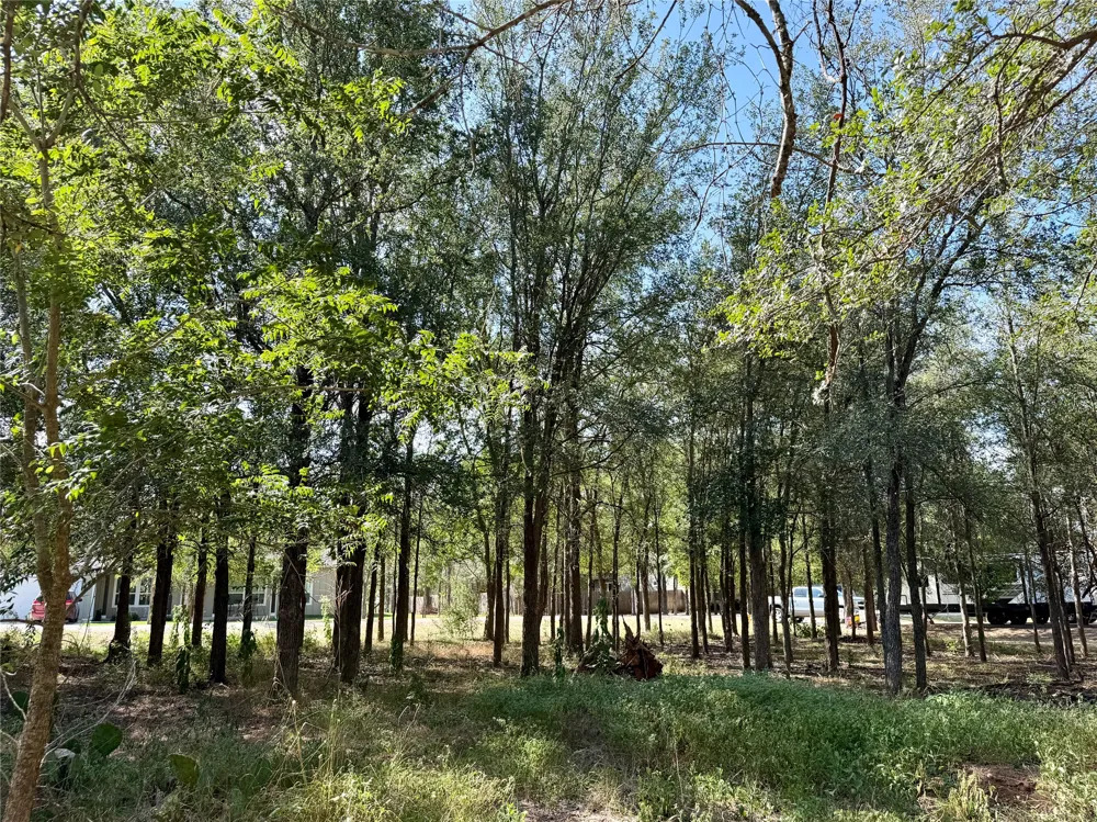 208 Waipahoehoe Drive Bastrop, TX 78602