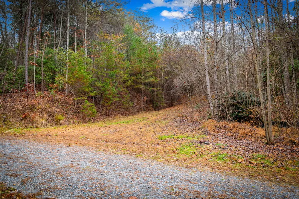 1.5 Acre Bullen Gap Road Blue Ridge, GA 30513