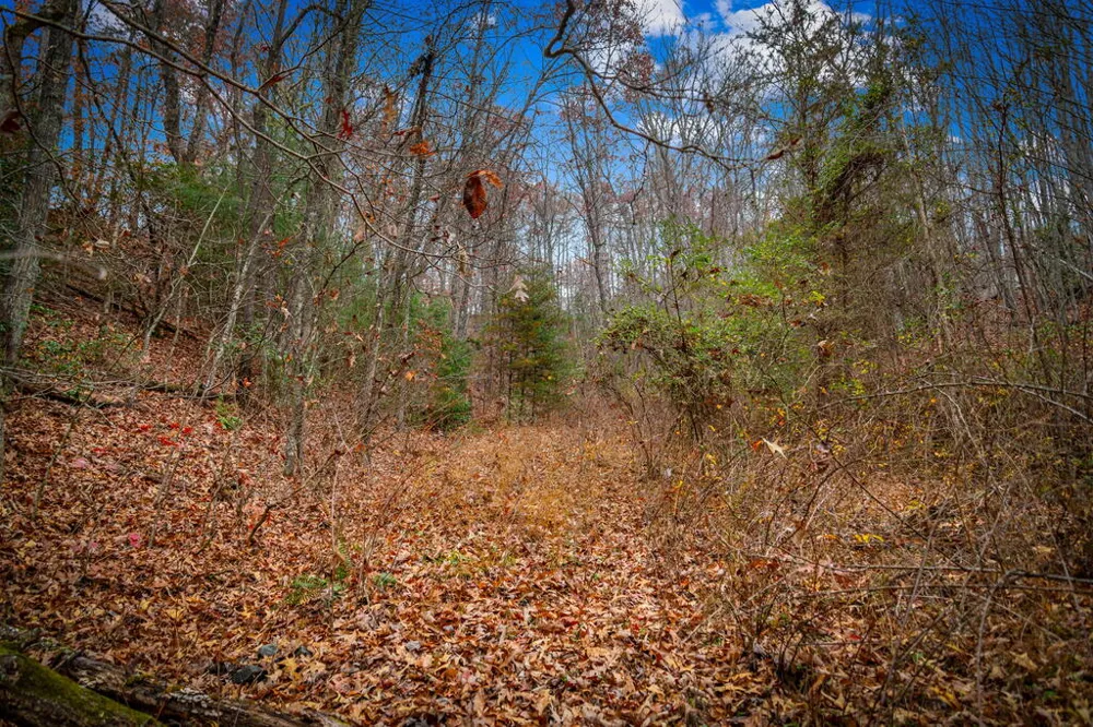 5.97AC Bullen Gap Road Blue Ridge, GA 30513