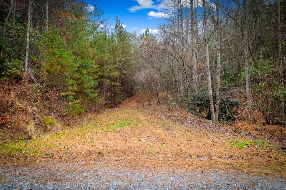 5.97AC Bullen Gap Road Blue Ridge, GA 30513