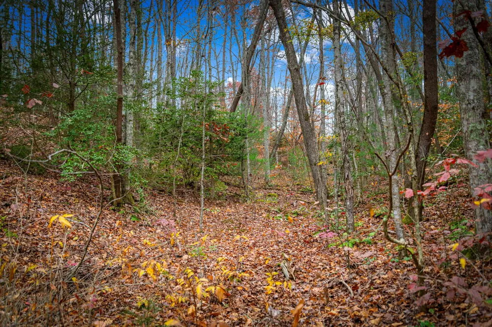 5.97AC Bullen Gap Road Blue Ridge, GA 30513