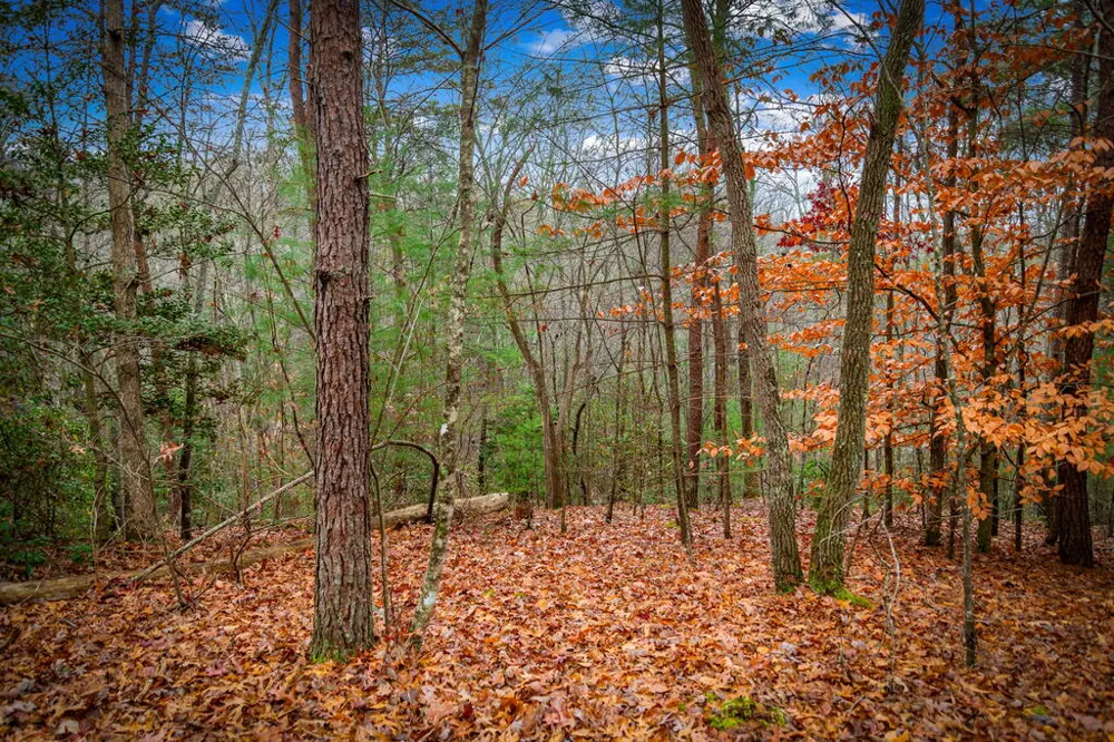 5.97AC Bullen Gap Road Blue Ridge, GA 30513