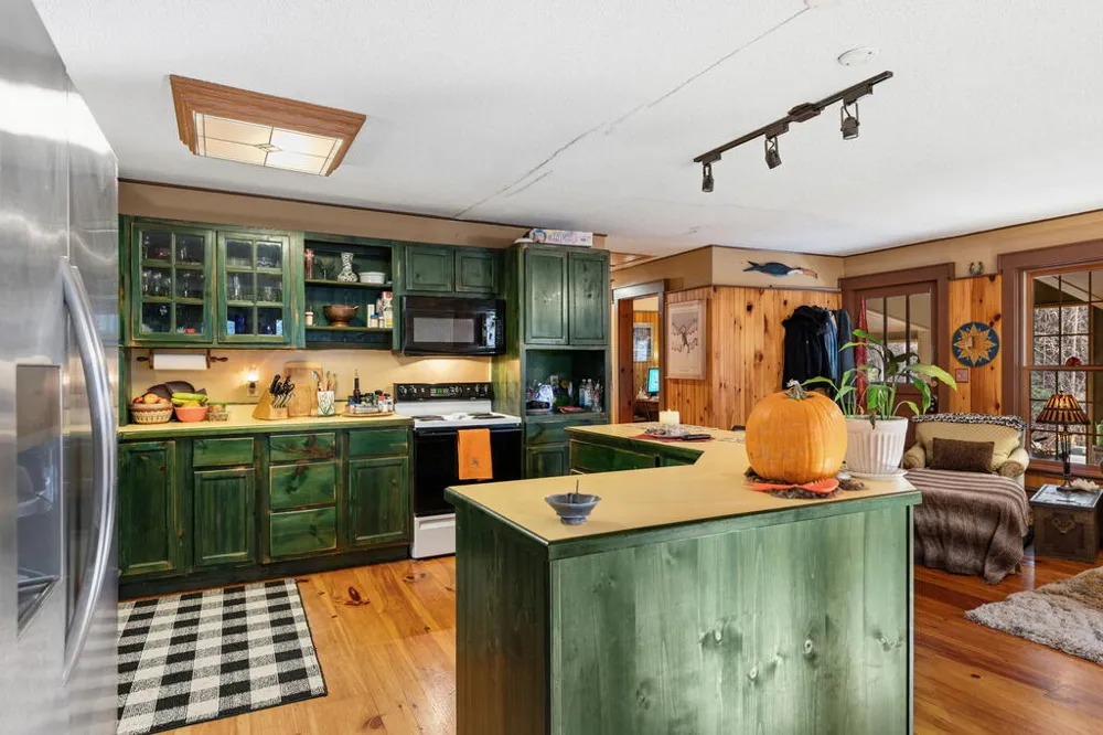 208 Bullen Gap Road Blue Ridge, GA 30513
