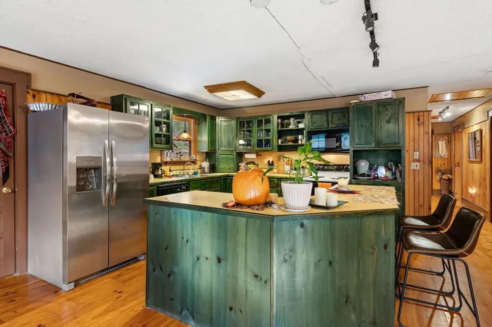 208 Bullen Gap Road Blue Ridge, GA 30513
