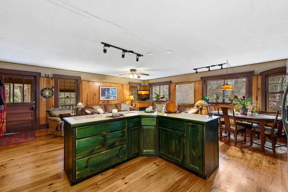 208 Bullen Gap Road Blue Ridge, GA 30513