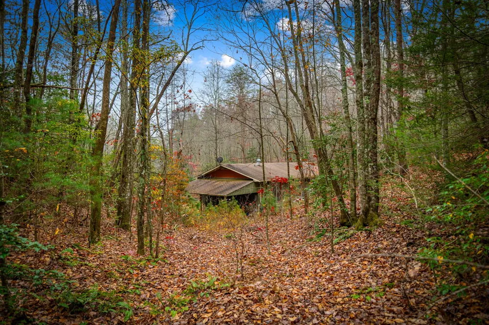208 Bullen Gap Road Blue Ridge, GA 30513