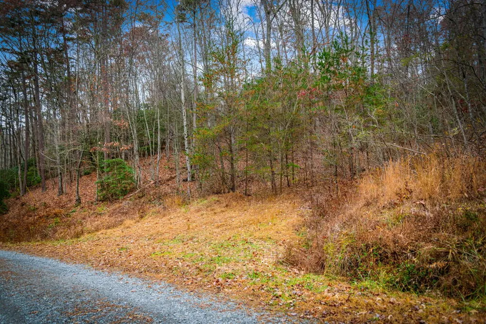 208 Bullen Gap Road Blue Ridge, GA 30513