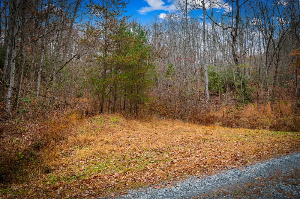 208 Bullen Gap Road Blue Ridge, GA 30513