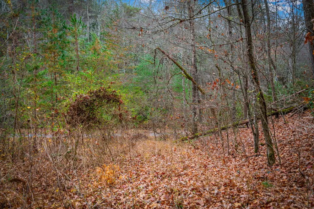 208 Bullen Gap Road Blue Ridge, GA 30513