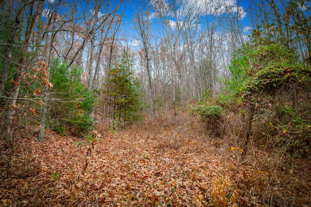 208 Bullen Gap Road Blue Ridge, GA 30513