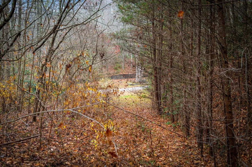 208 Bullen Gap Road Blue Ridge, GA 30513