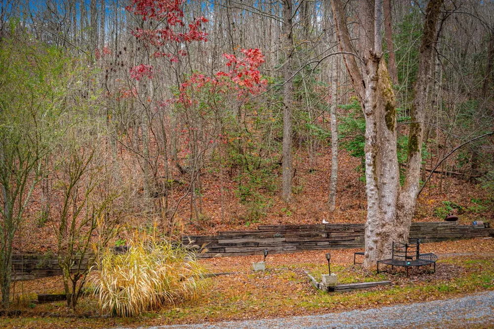 208 Bullen Gap Road Blue Ridge, GA 30513