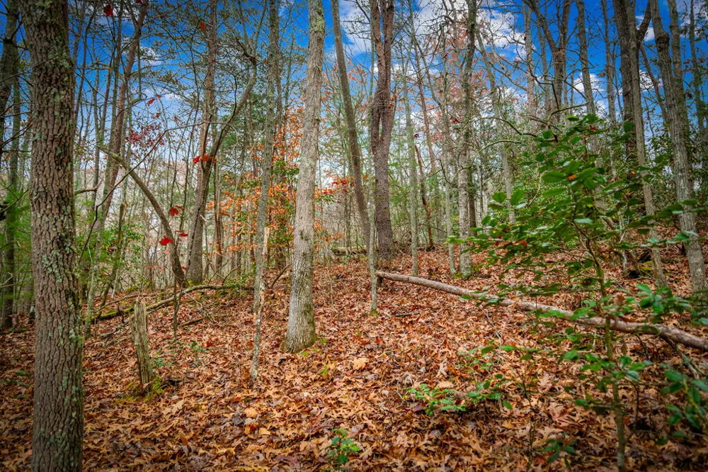 208 Bullen Gap Road Blue Ridge, GA 30513