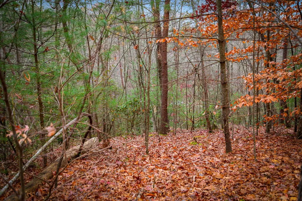 208 Bullen Gap Road Blue Ridge, GA 30513
