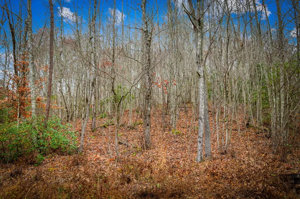 208 Bullen Gap Road Blue Ridge, GA 30513