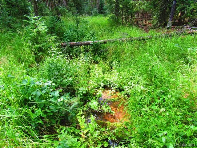 LOT 6615 Forbes Road San Luis, CO 81152