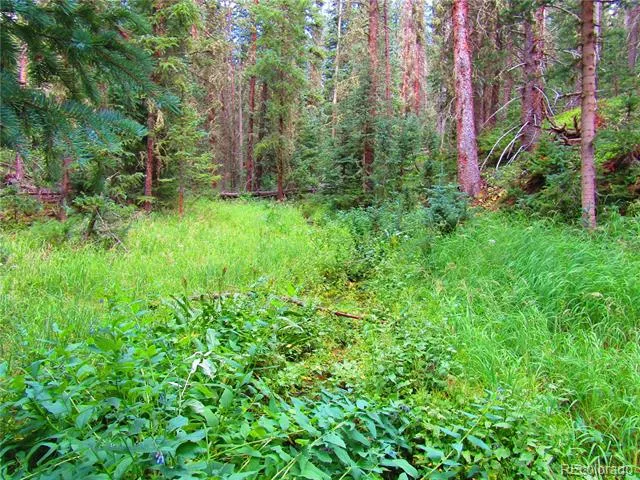 LOT 6615 Forbes Road San Luis, CO 81152