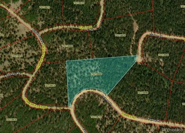 LOT 6615 Forbes Road San Luis, CO 81152
