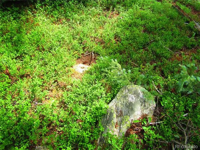 LOT 6615 Forbes Road San Luis, CO 81152