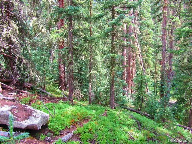 LOT 6615 Forbes Road San Luis, CO 81152