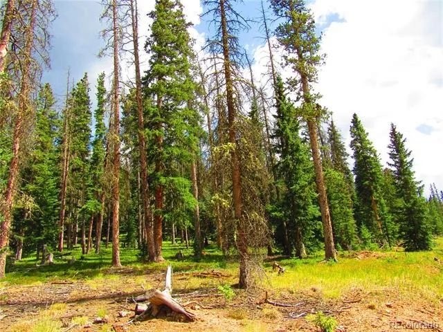 LOT 6615 Forbes Road San Luis, CO 81152