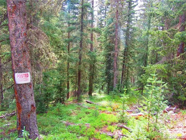LOT 6615 Forbes Road San Luis, CO 81152