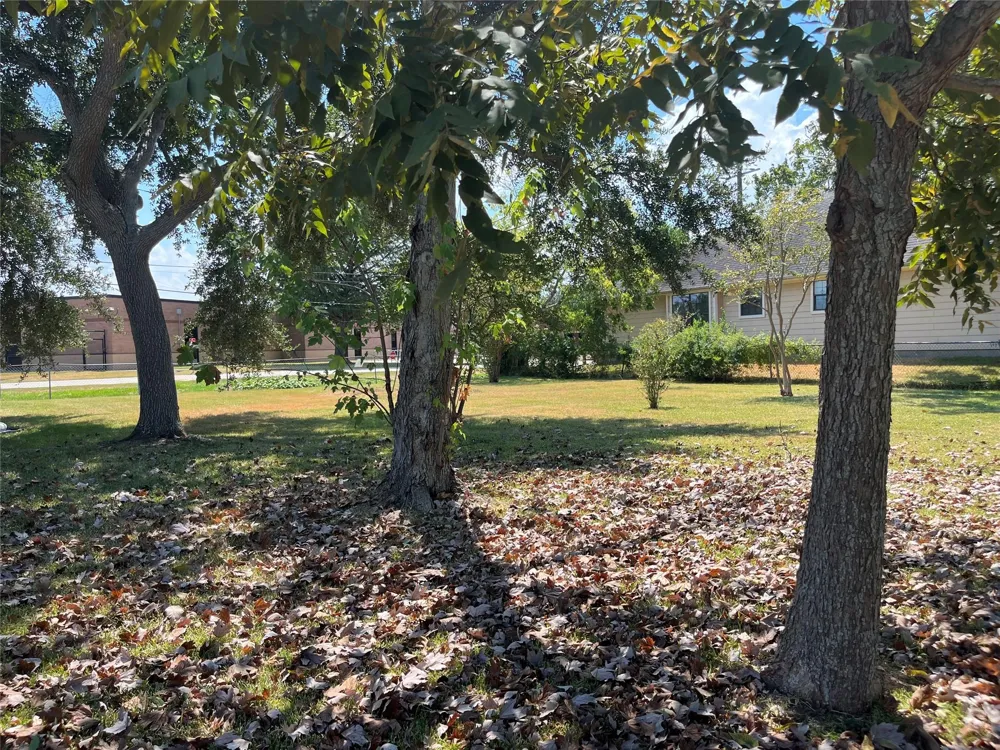 1871 Aspen Lane Seabrook, TX 77586