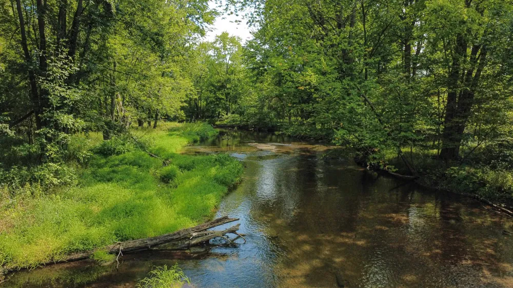 8370 Lumberjack Road Seville Township, MI 48877