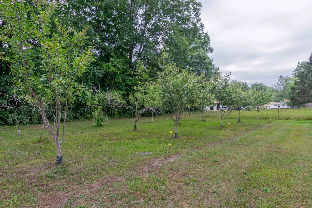 8370 Lumberjack Road Seville Township, MI 48877