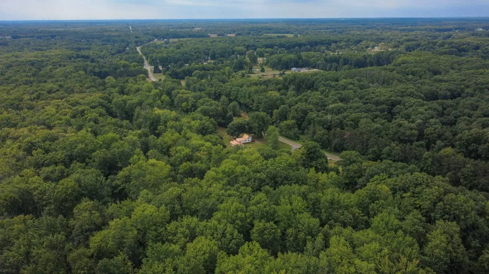 8370 Lumberjack Road Seville Township, MI 48877