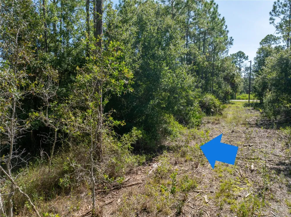 28093 ARGYLE DRIVE Punta Gorda, FL 33955