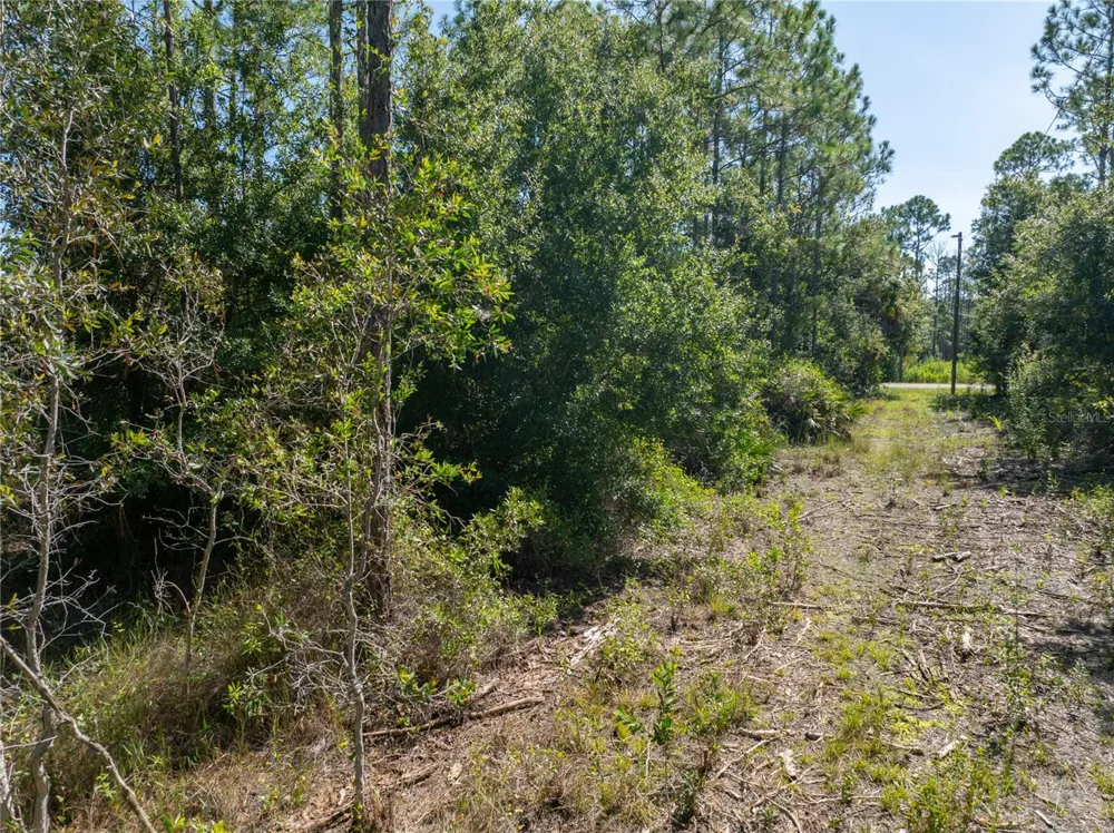 28093 ARGYLE DRIVE Punta Gorda, FL 33955