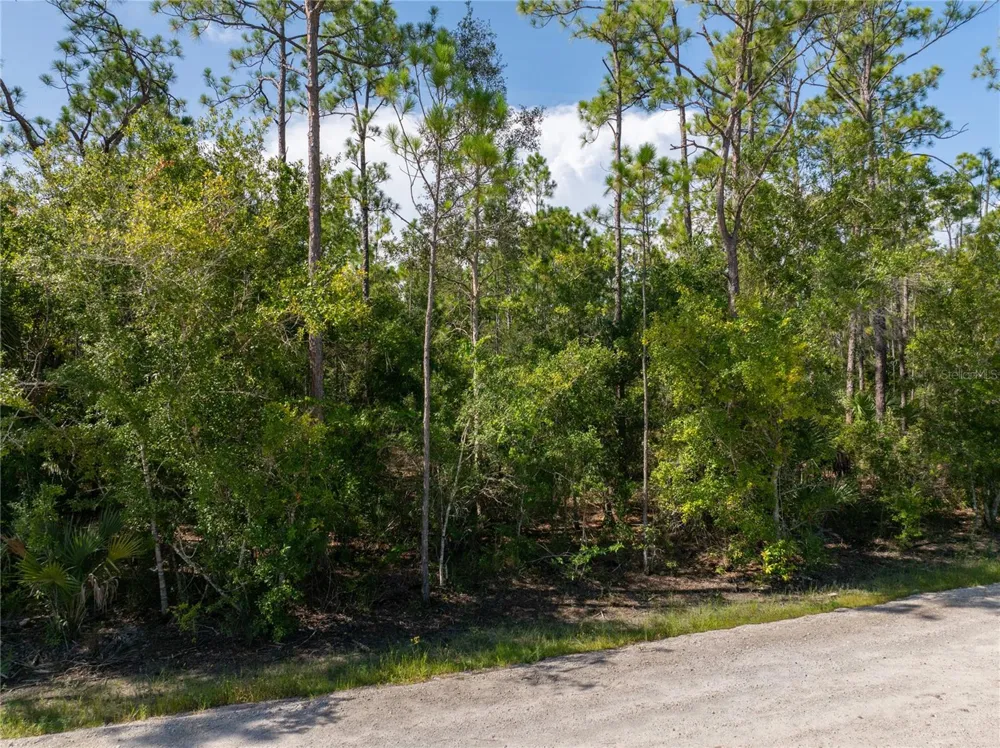 28093 ARGYLE DRIVE Punta Gorda, FL 33955