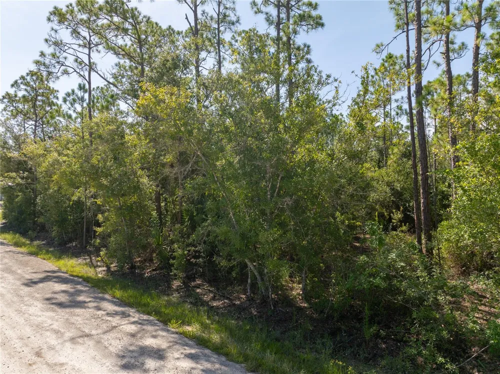 28093 ARGYLE DRIVE Punta Gorda, FL 33955