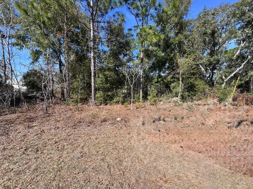 9052 BURMANY WAY Citrus Springs, FL 34433