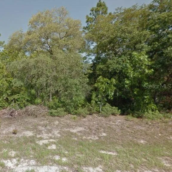 9052 BURMANY WAY Citrus Springs, FL 34433