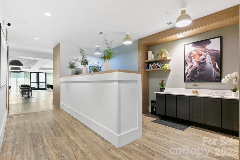 55 S Market Street #416 Asheville, NC 28801
