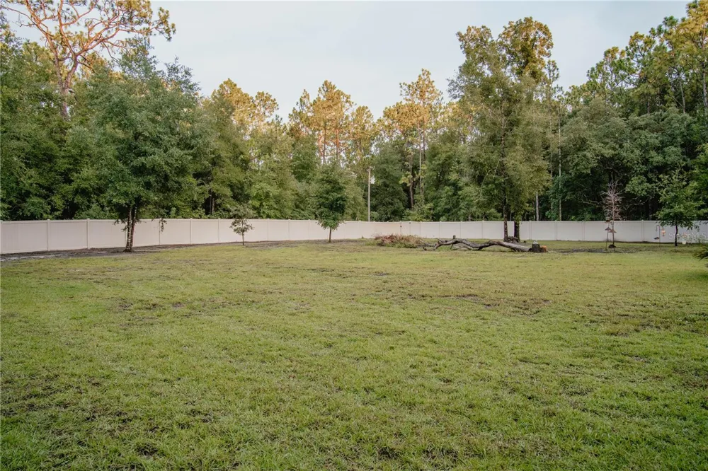 12009 S DAFFODIL POINT Floral City, FL 34436