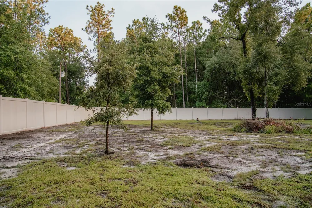 12009 S DAFFODIL POINT Floral City, FL 34436