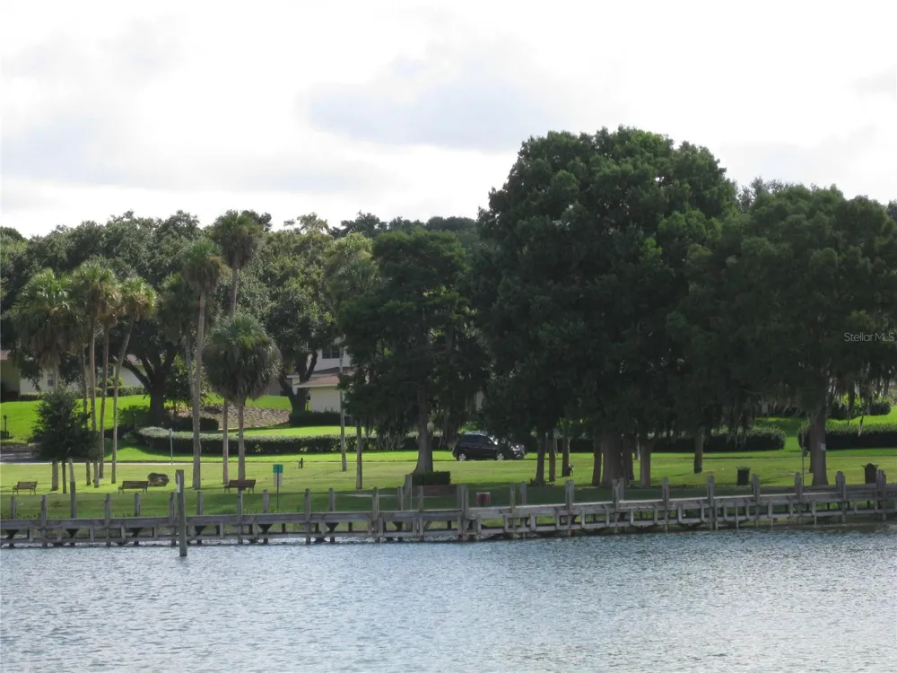 9085 LAUREL RIDGE DRIVE Mount Dora, FL 32757