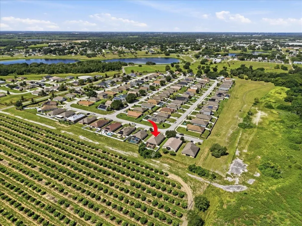 1408 LEGATTO LOOP Dundee, FL 33838