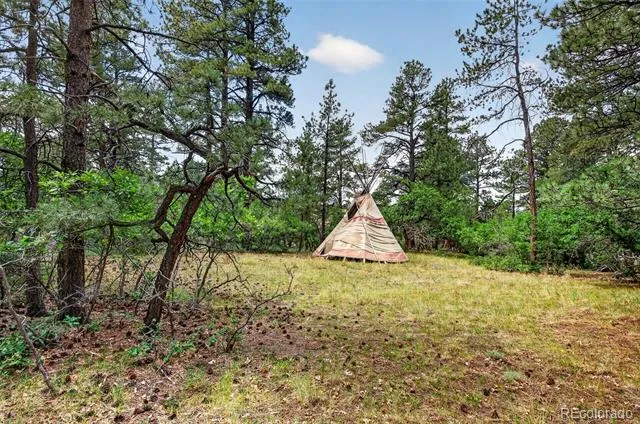 11934 E Buckhorn Way Franktown, CO 80116