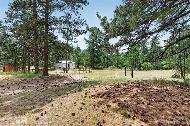 11934 E Buckhorn Way Franktown, CO 80116