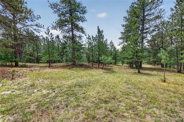 11934 E Buckhorn Way Franktown, CO 80116