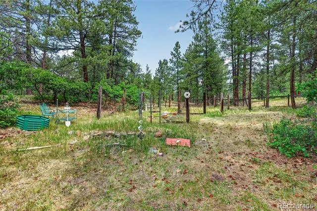 11934 E Buckhorn Way Franktown, CO 80116