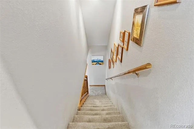 242 Fuller Drive #A Fairplay, CO 80440