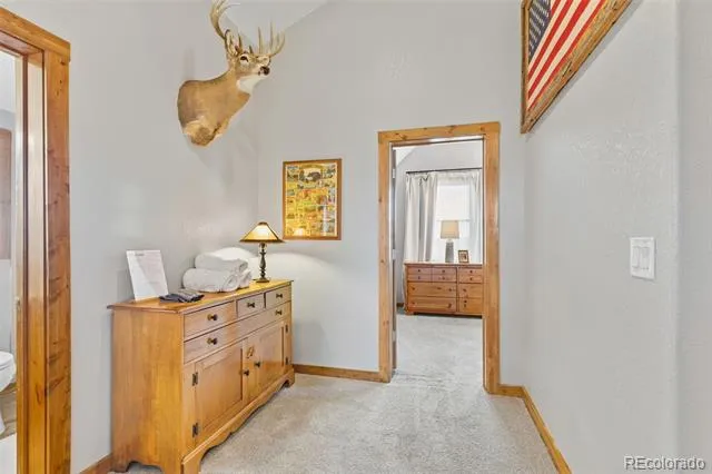 242 Fuller Drive #A Fairplay, CO 80440